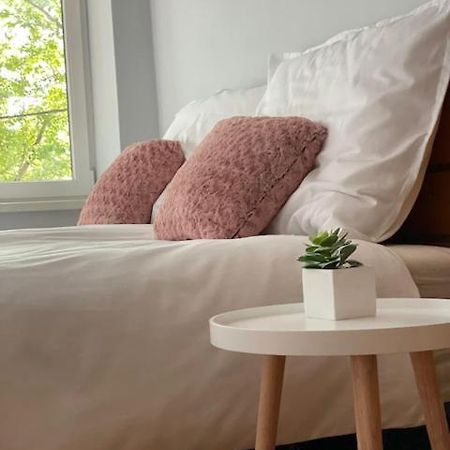 Boni Apartman ミシュコルツ エクステリア 写真