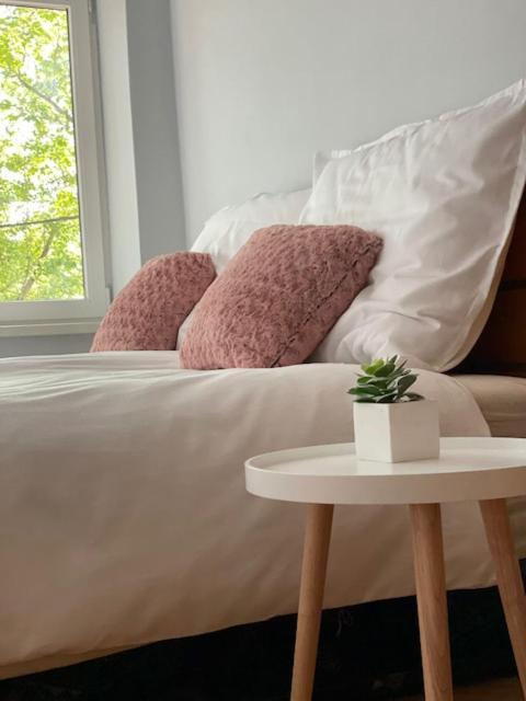 Boni Apartman ミシュコルツ エクステリア 写真